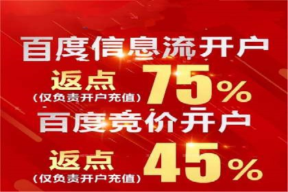 百度竞价广告投放技巧及某行业成功案例